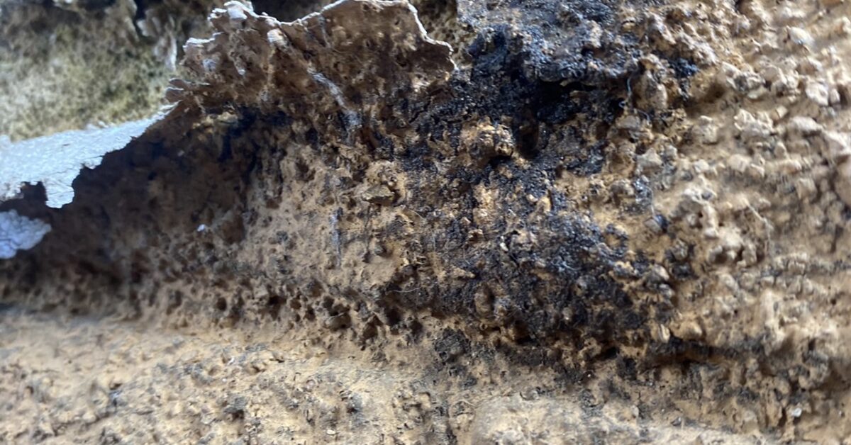 八王子市の外壁塗装はぬりかえ専門館へ